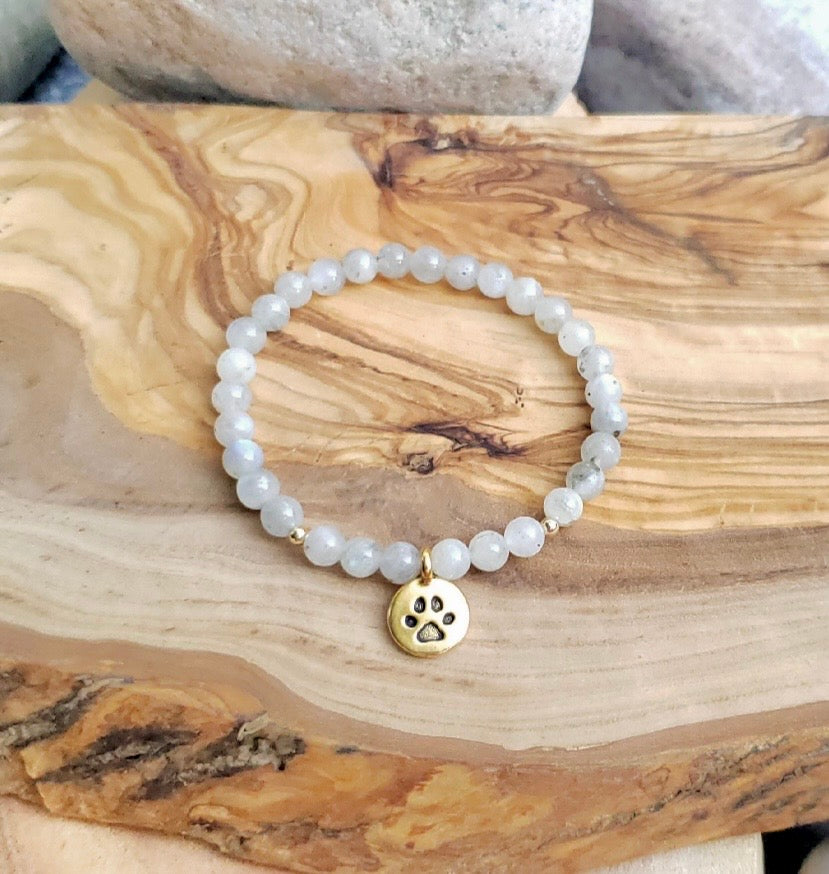 Gold paw 🐾 bracelet